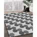 Machine Washable Transitional Platinum Silver Gray Rug in a Family Room, wshpat1486gry