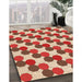 Patterned Red Rug in Family Room, pat1486org