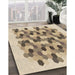 Machine Washable Transitional Dark Gold Brown Rug in a Family Room, wshpat1488brn