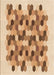 Machine Washable Transitional Brown Gold Rug, wshpat1488org