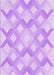 Machine Washable Transitional Purple Rug, wshpat1493pur