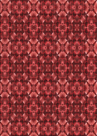 Machine Washable Transitional Red Rug, wshpat1498rd