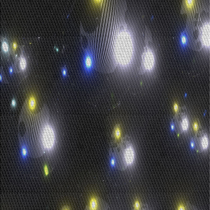 Patterned Black Novelty Rug, pat14