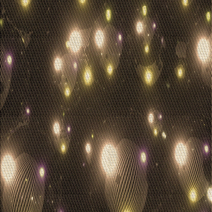 Machine Washable Transitional Brown Rug, wshpat15brn