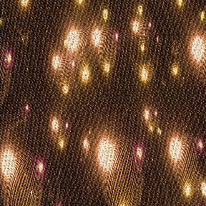 Machine Washable Transitional Red Rug, wshpat15org