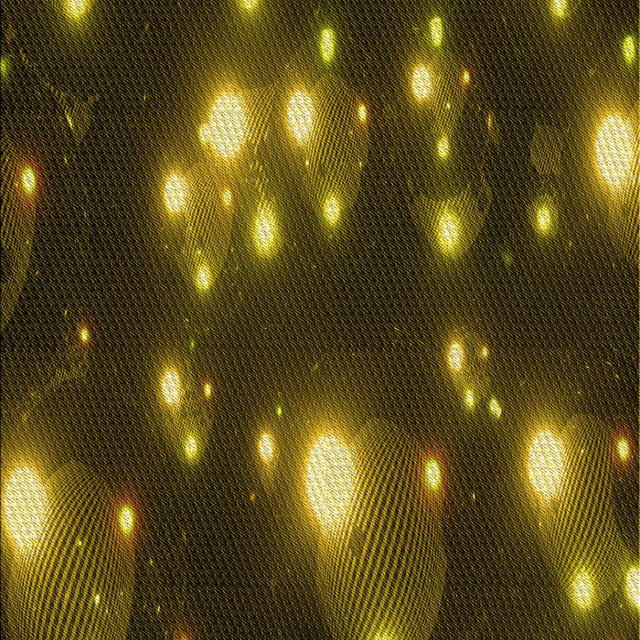 Machine Washable Transitional Dark Yellow Green Rug, wshpat15yw