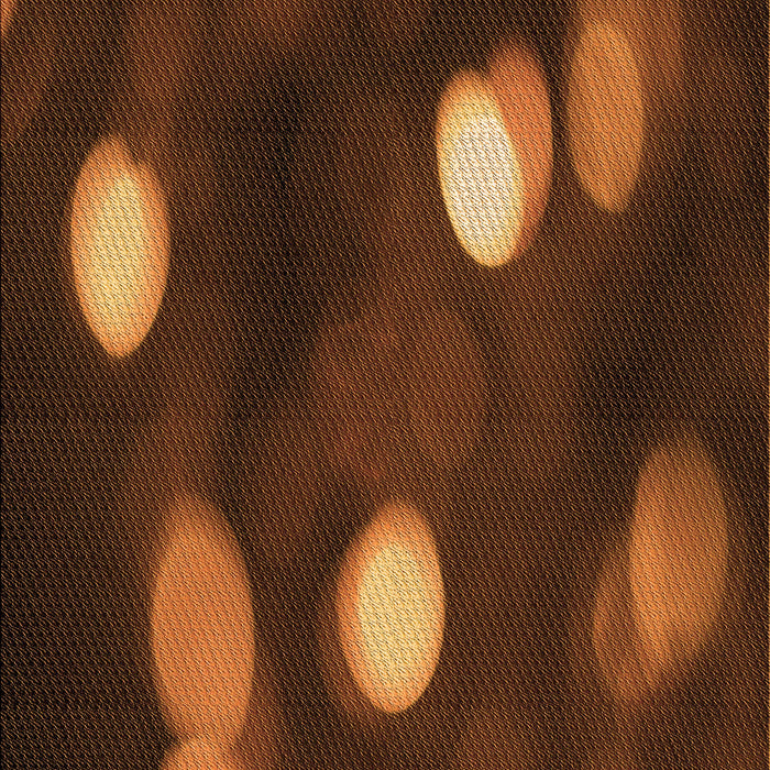 Machine Washable Transitional Mahogany Brown Rug, wshpat150org