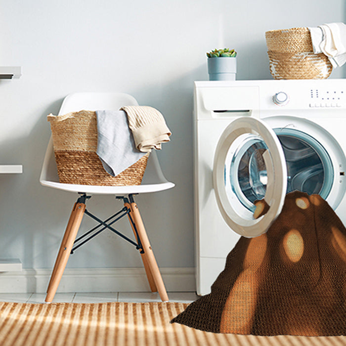 Machine Washable Transitional Mahogany Brown Rug in a Washing Machine, wshpat150org