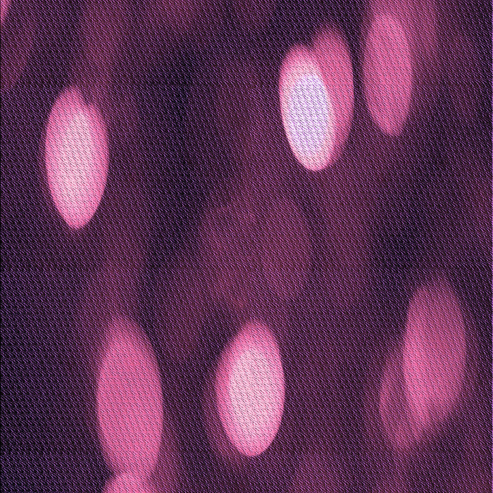 Patterned Purple Lily Purple Rug, pat150pur