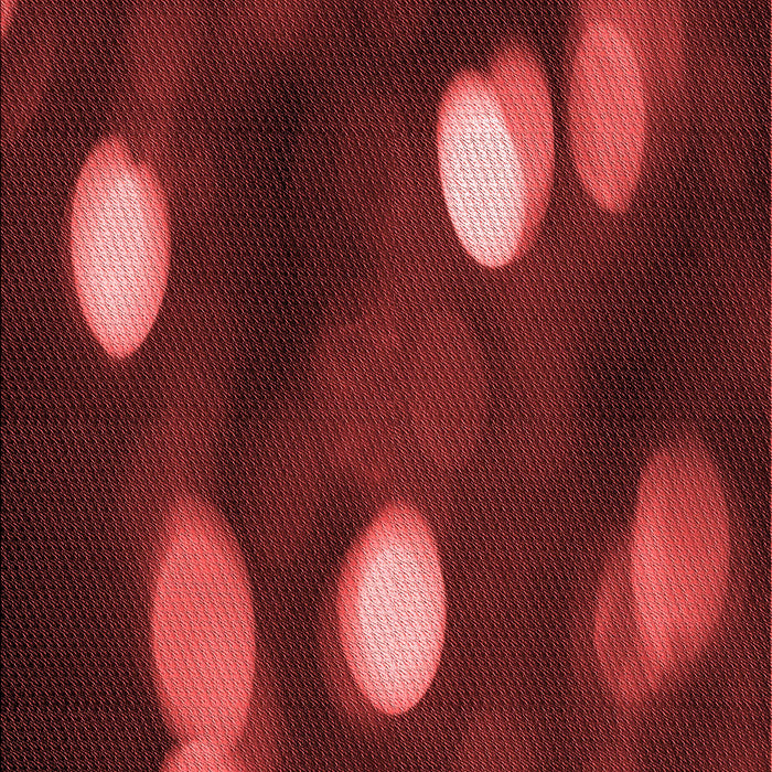 Patterned Dark Red Rug, pat150rd