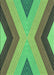 Patterned Green Rug, pat1501grn