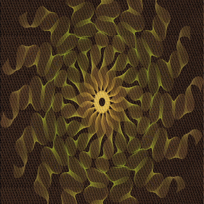 Patterned Dark Bronze Brown Rug, pat151org