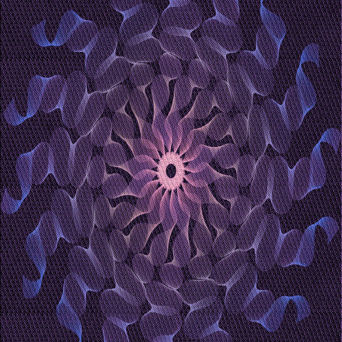 Machine Washable Transitional Deep Purple Rug, wshpat151pur