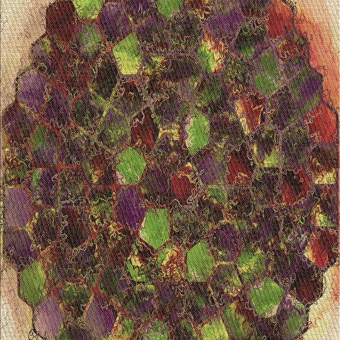 Patterned Caramel Brown Rug, pat1515brn