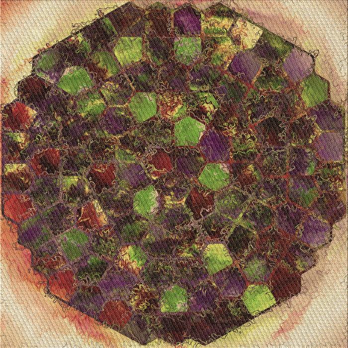 Round Machine Washable Transitional Caramel Brown Rug, wshpat1515brn