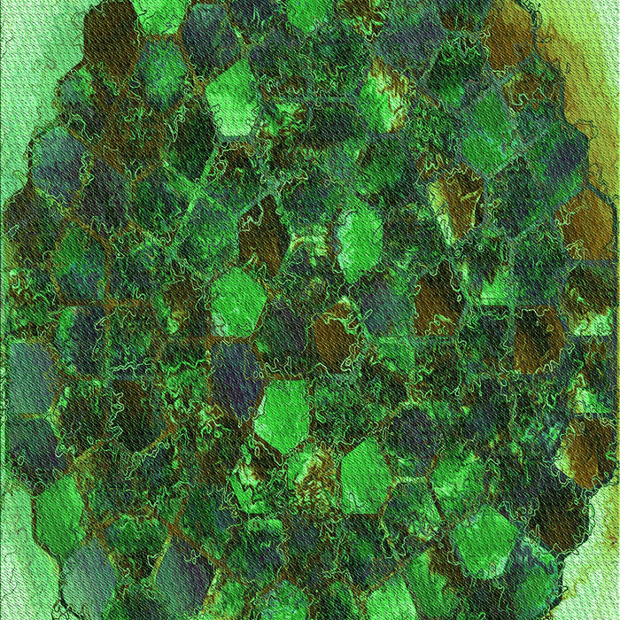 Machine Washable Transitional Dark Forest Green Rug, wshpat1515grn