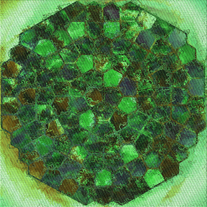 Round Machine Washable Transitional Dark Forest Green Rug, wshpat1515grn