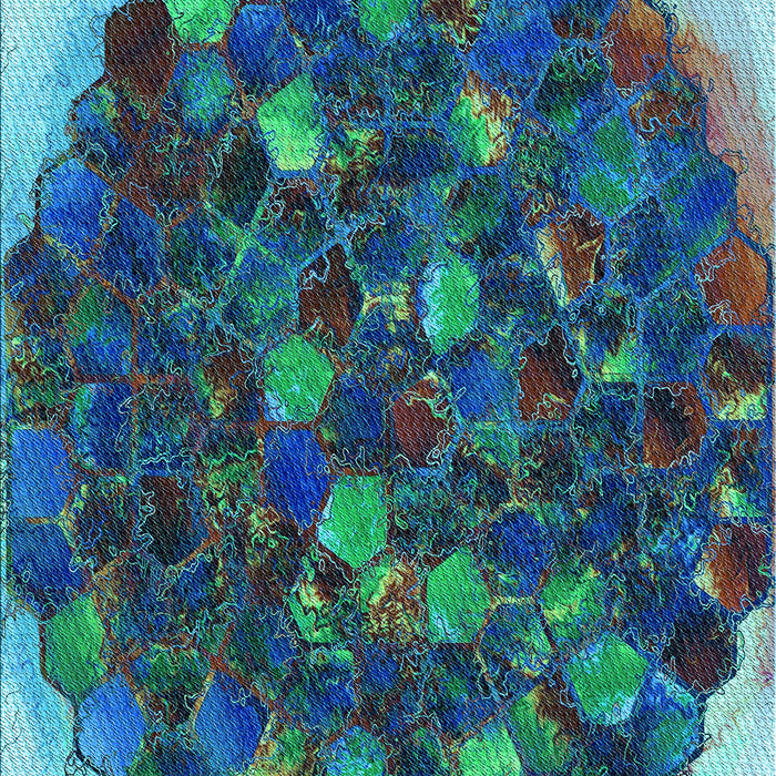 Machine Washable Transitional Macaw Blue Green Rug, wshpat1515lblu