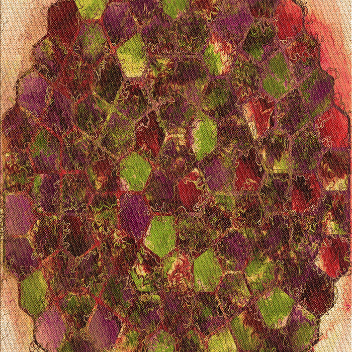 Patterned Caramel Brown Rug, pat1515org