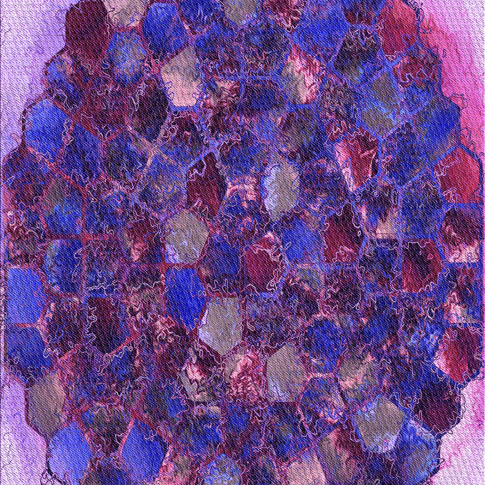 Patterned Purple Rug, pat1515pur