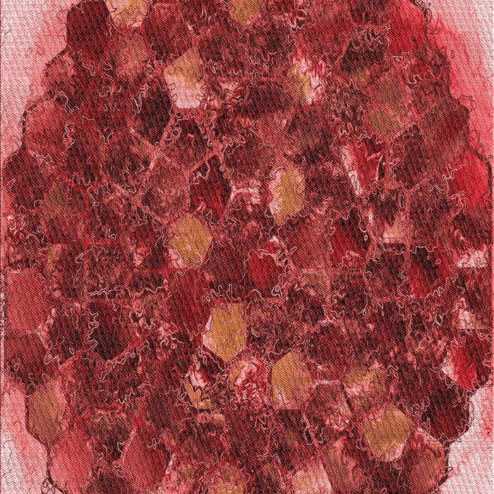 Patterned Red Rug, pat1515rd