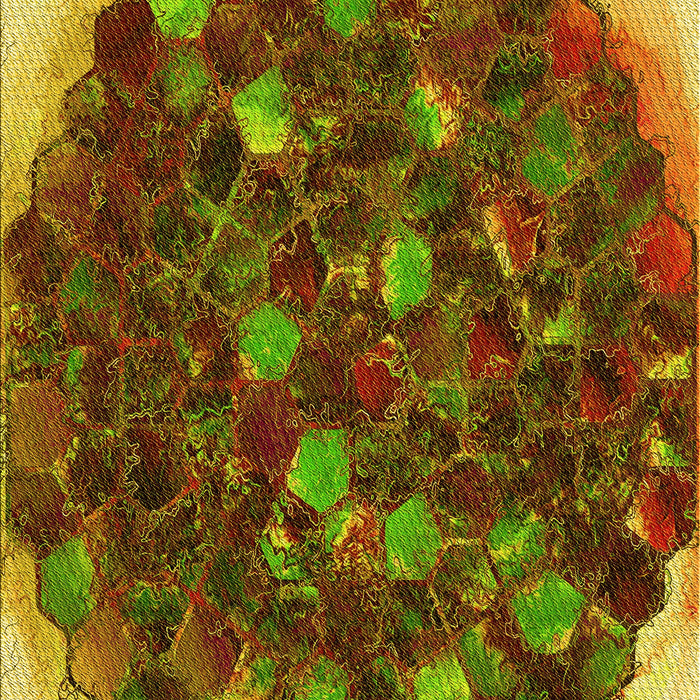 Patterned Saffron Red Rug, pat1515yw