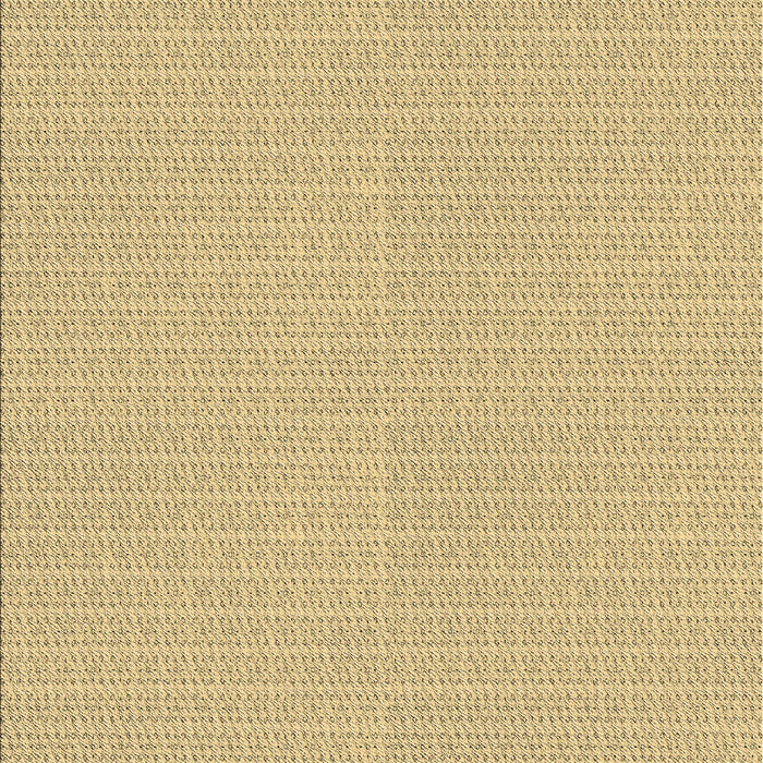 Machine Washable Transitional Caramel Brown Rug, wshpat1517brn