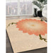 Machine Washable Transitional Orange Rug in a Family Room, wshpat1519org