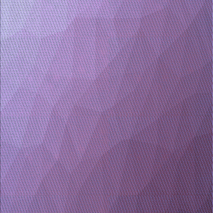 Machine Washable Transitional Purple Mimosa Purple Rug, wshpat1528blu