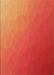 Machine Washable Transitional Neon Orange Rug, wshpat1528org