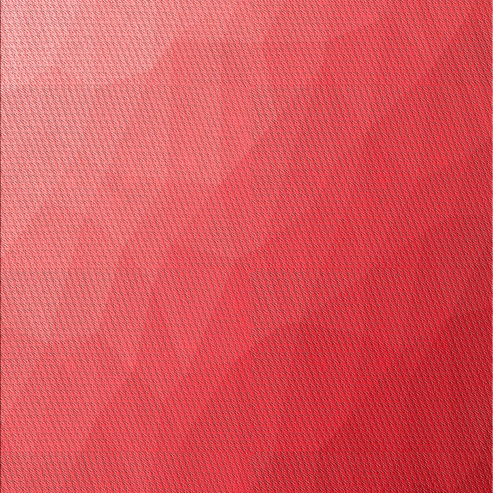 Patterned Red Rug, pat1528rd