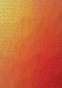 Patterned Orange Novelty Rug, pat1528