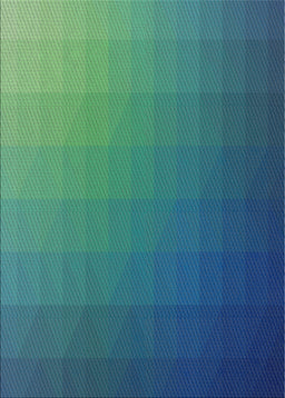 Patterned Blue Novelty Rug, pat1529