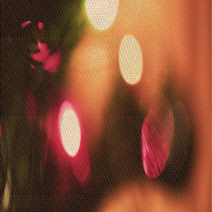 Machine Washable Transitional Orange Rug, wshpat153org