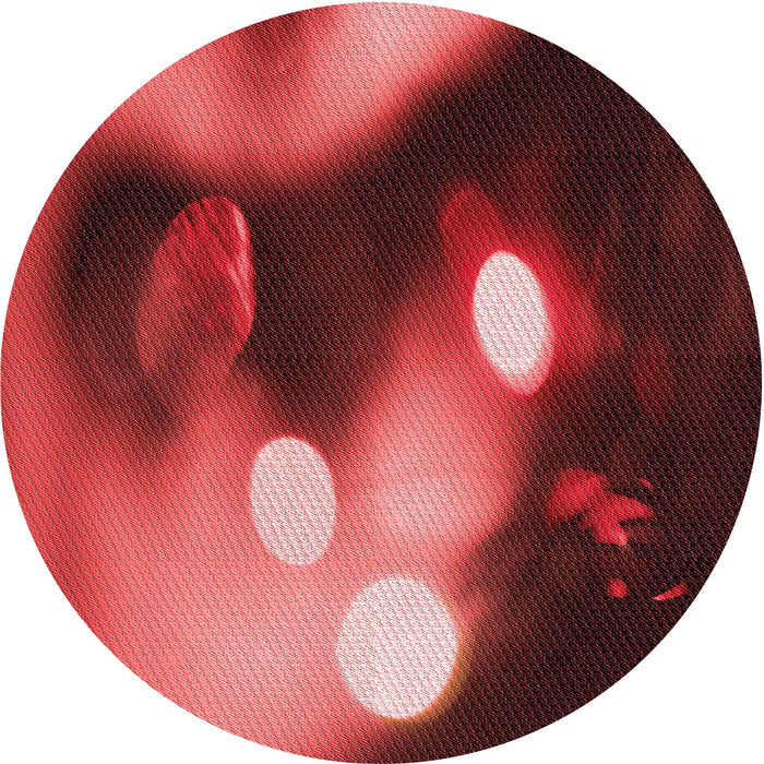 Square Machine Washable Transitional Red Rug in a Living Room, wshpat153rd