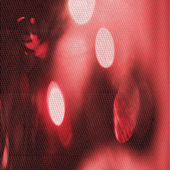 Machine Washable Transitional Red Rug, wshpat153rd