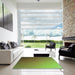 Square Patterned Pistachio Green Rug in a Living Room, pat1530grn