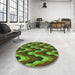 Round Patterned Milk Chocolate Brown Rug in a Office, pat1532grn