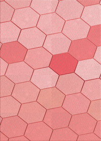 Machine Washable Transitional Pastel Pink Rug, wshpat1536rd