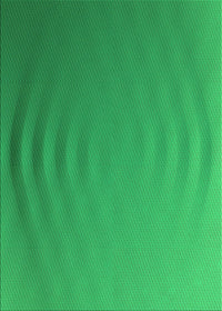 Machine Washable Transitional Neon Green Rug, wshpat1538grn