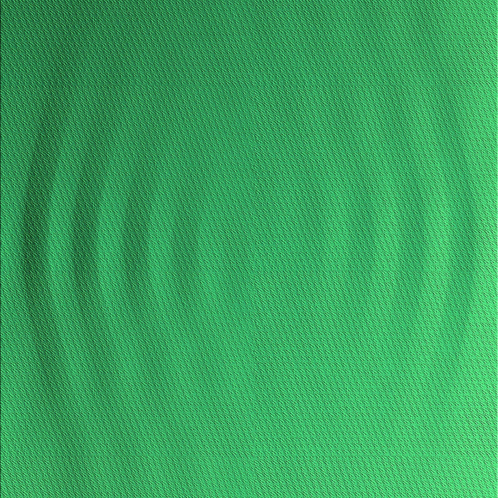 Machine Washable Transitional Neon Green Rug, wshpat1538grn