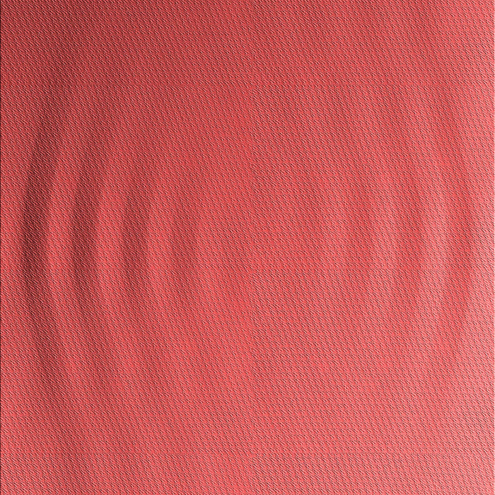 Machine Washable Transitional Red Rug, wshpat1538rd