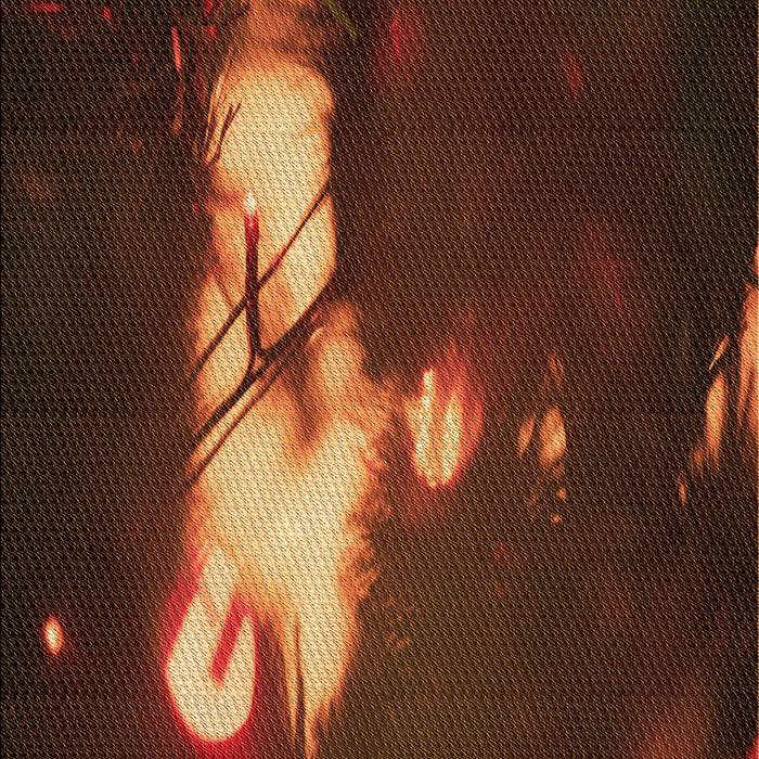 Machine Washable Transitional Mahogany Brown Rug, wshpat154org