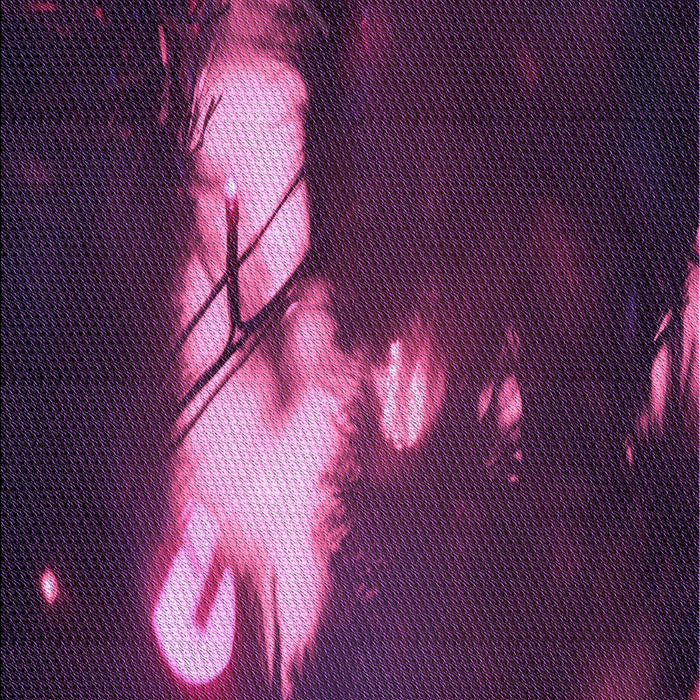 Machine Washable Transitional Purple Lily Purple Rug, wshpat154pur