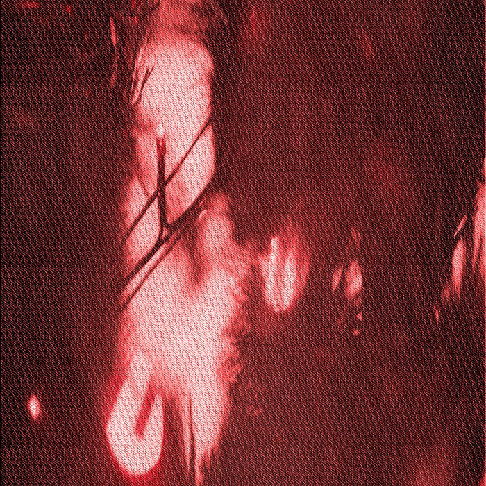 Machine Washable Transitional Maroon Red Rug, wshpat154rd