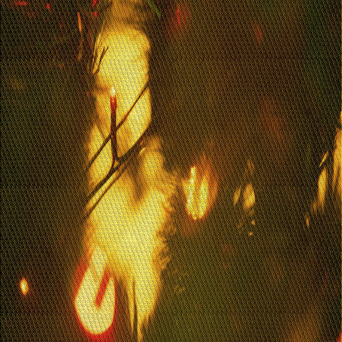 Machine Washable Transitional Black Brown Rug, wshpat154yw