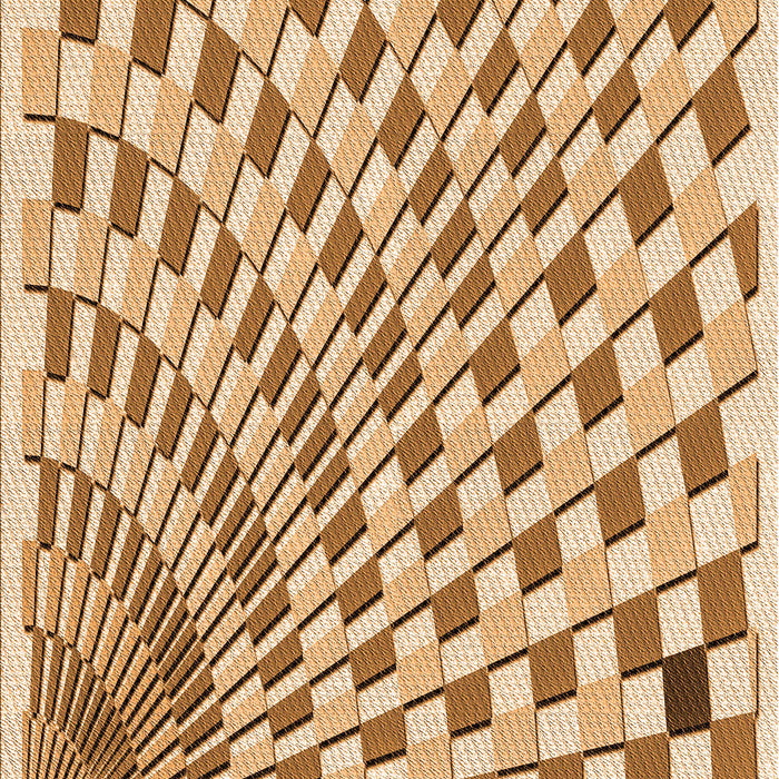 Machine Washable Transitional Brown Gold Rug, wshpat1540org