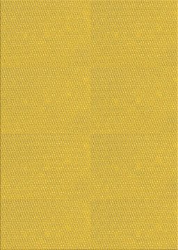 Machine Washable Transitional Caramel Brown Rug, wshpat1541