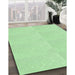 Patterned Light Green Rug in Family Room, pat1542grn