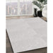 Machine Washable Transitional Dark Gray Rug in a Family Room, wshpat1542